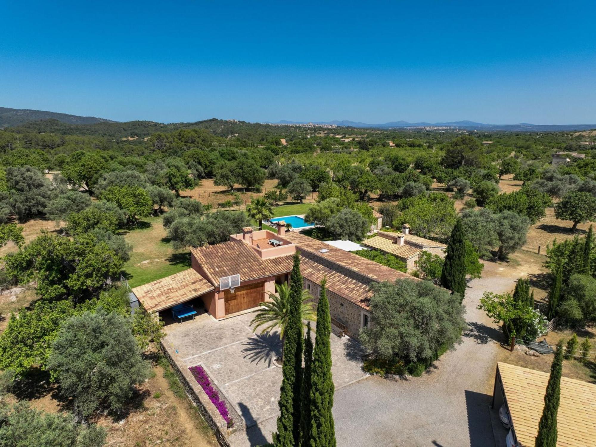 Near Platja De Muro Selva (Mallorca)